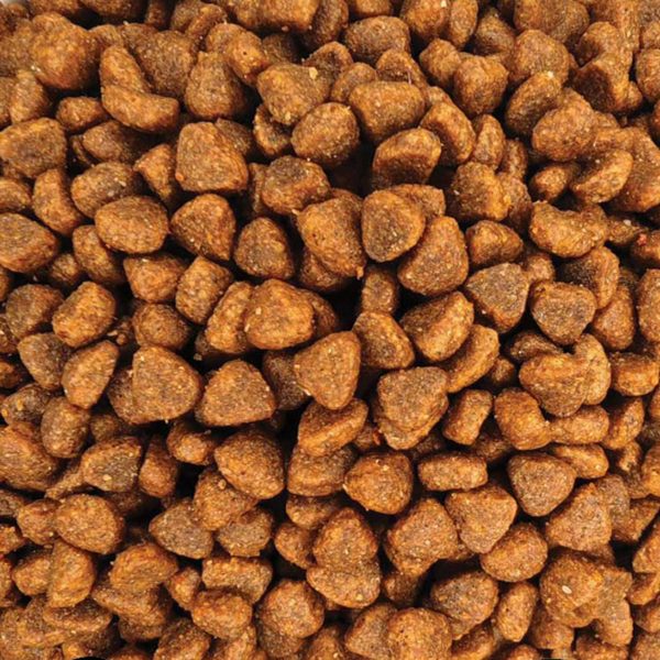 Super Premium Kitten with Poultry & Rice (Πουλερικά - Ρύζι) (Χύμα - τιμή/kg)