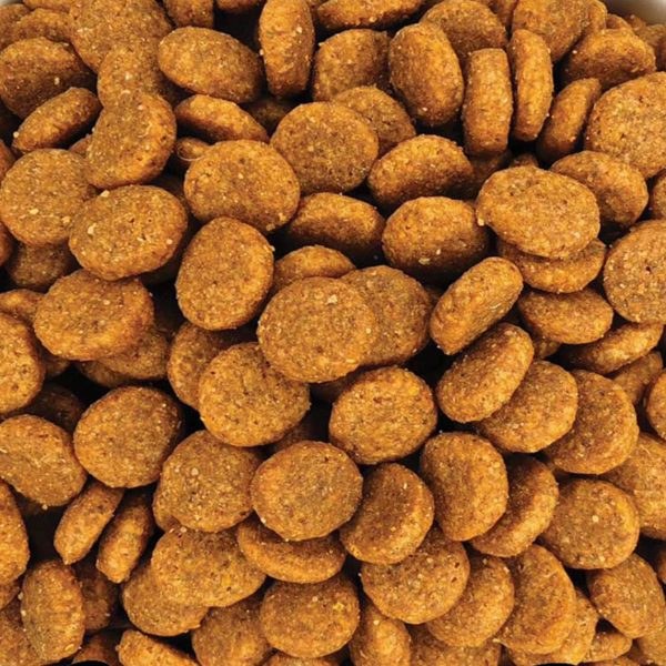Gastrointestinal Dog Food with Poultry (Χύμα - τιμή/kg)