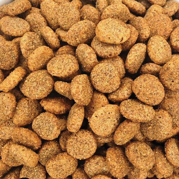 Special Intestinal Dog Food with Turkey (Γαλοπούλα) (Χύμα - τιμή/kg)