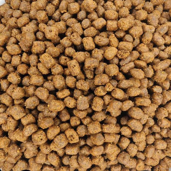 Super Premium Kitten 50% Κοτόπουλο (Χύμα - τιμή/kg)