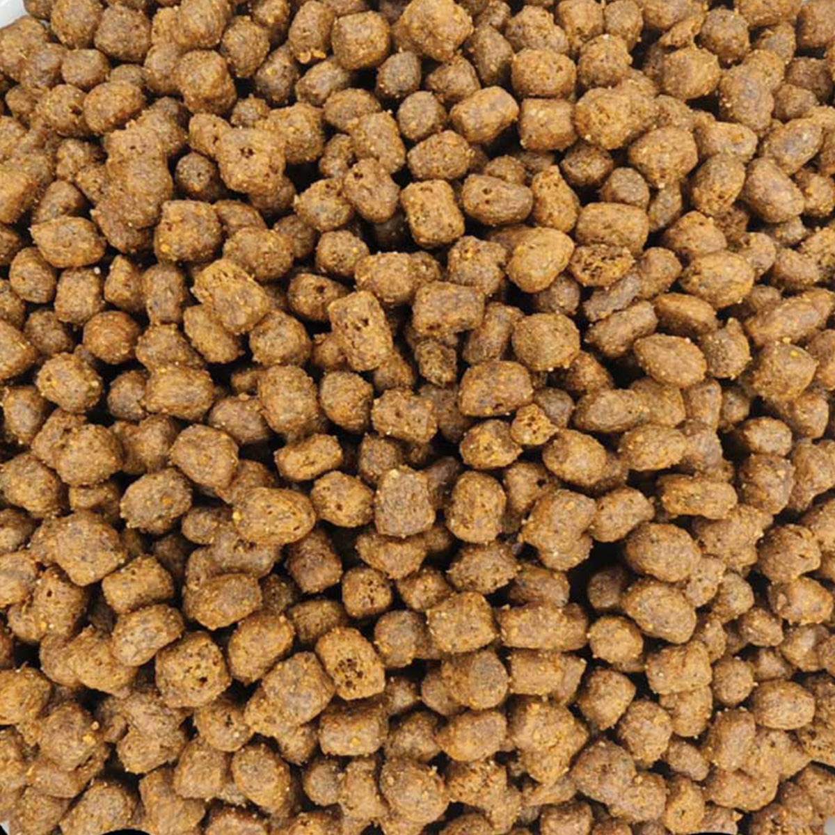 1 Super Premium Kitten 50% Κοτόπουλο (Χύμα - τιμή/kg) - Image 1