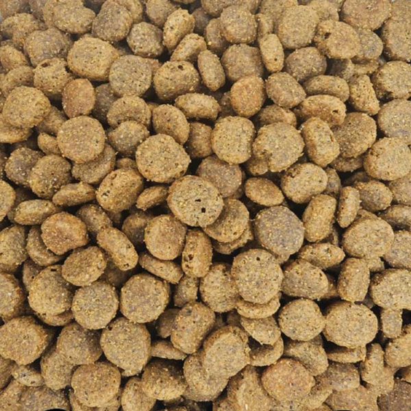 Super Premium Adult Cat Sensitive 45% Ψάρι (Χύμα - τιμή/kg)