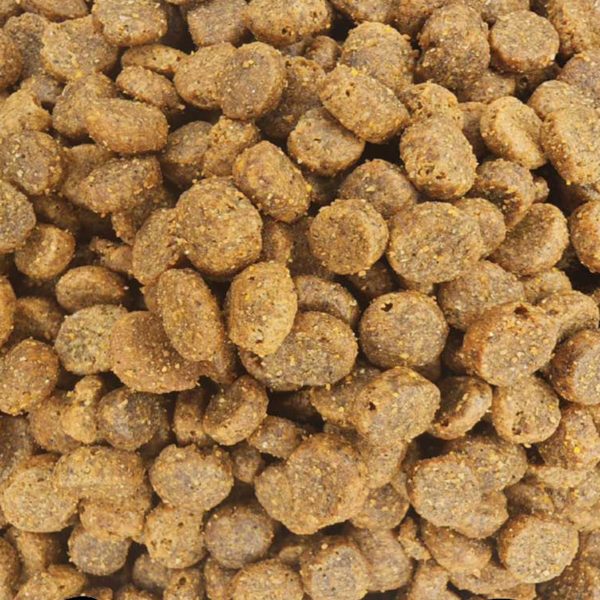 Super Premium Adult Cat Sensitive 35% Κουνέλι (Χύμα - τιμή/kg)