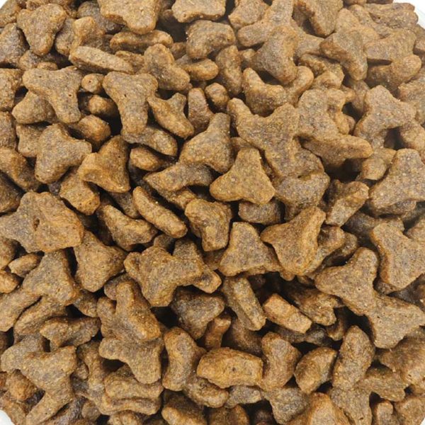 Hypoallergenic Cat Food with Salmon (Σολομός) (Χύμα - τιμή/kg)