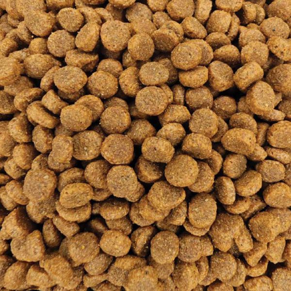 Campeao Sterilised Cat Poultry (Πουλερικά - Στειρωμένη Γάτα) (Χύμα - τιμή/kg)