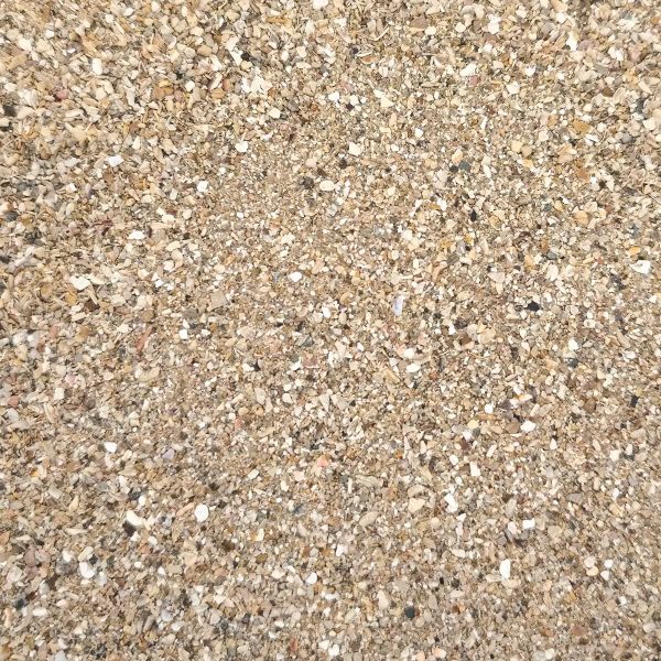 Duvo Brown Shellsand Άμμος Πουλιών (Καφέ) (Χύμα - τιμή/kg)