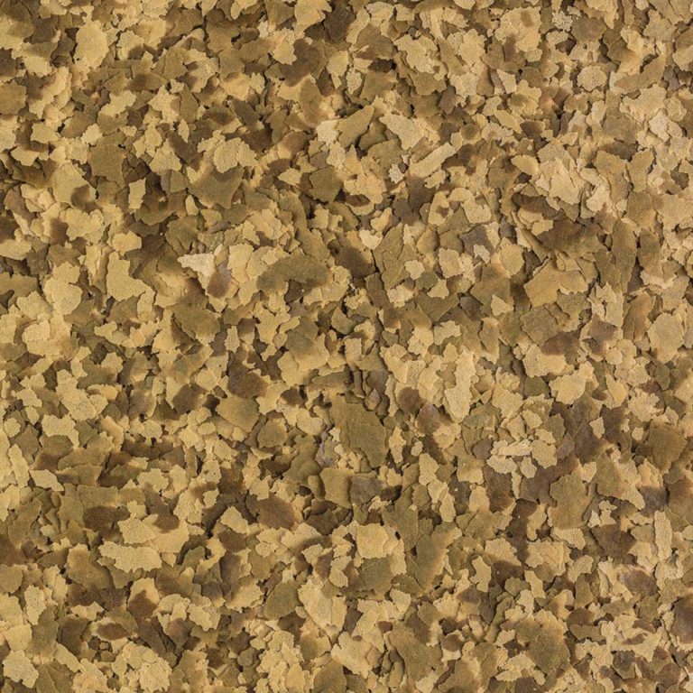 Super Premium Νιφάδες (Flakes) Βασική Τροφή για Χρυσόψαρα (Χύμα - τιμή/kg)