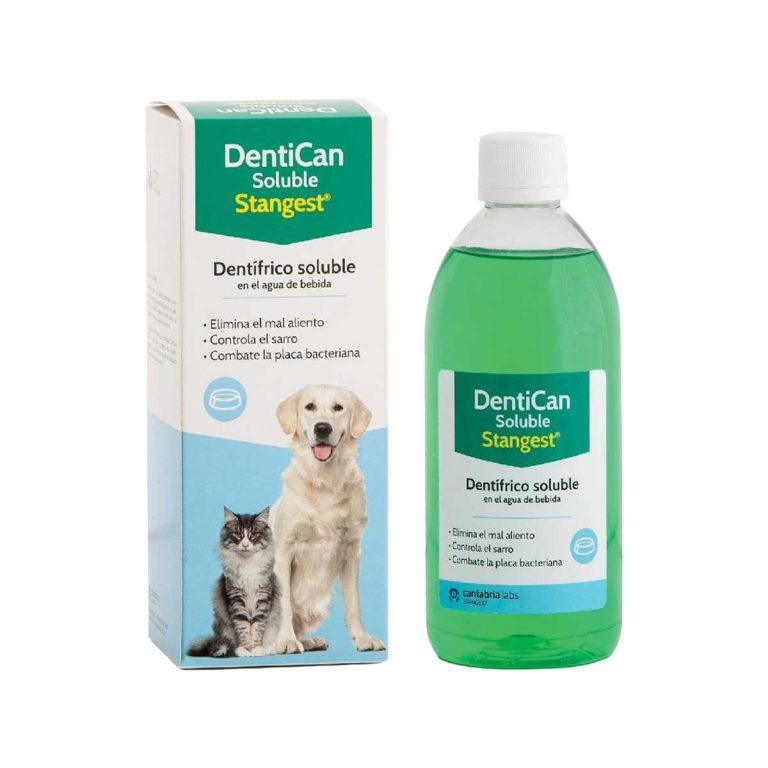 Stangest DentiCan Soluble 250ml (για Σκύλους & Γάτες)