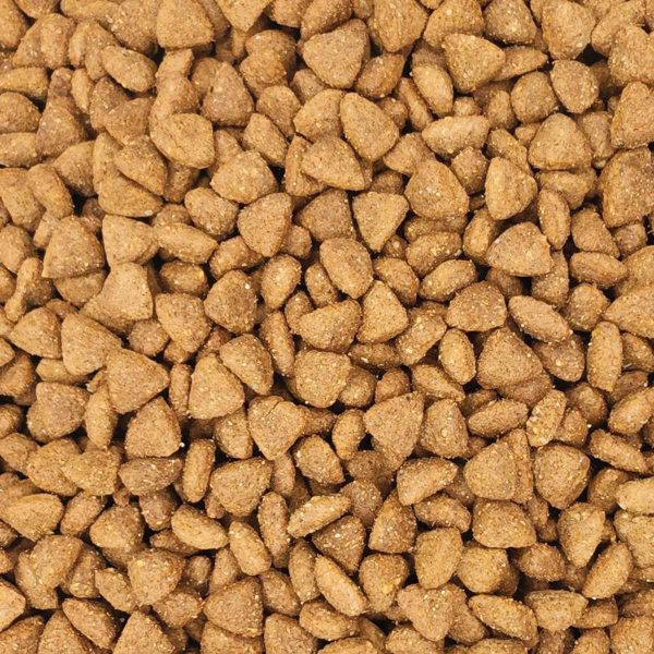 Nutripet Crokies Advanced Kitten No7019 (Χύμα - τιμή/kg)