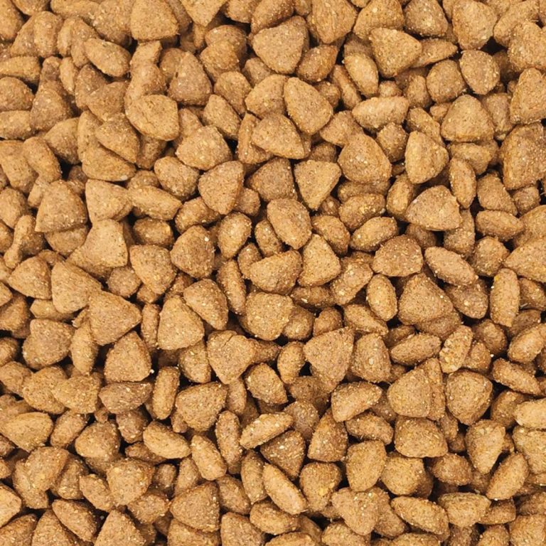 Nutripet Crokies Advanced Kitten No7019 (Χύμα - τιμή/kg)