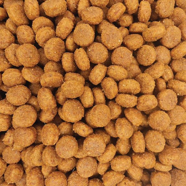 Veterinary Diet Renal Dog Food (Χύμα – τιμή/kg)