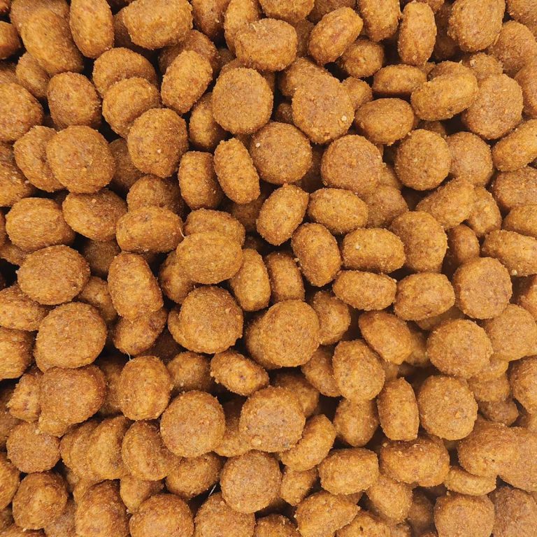 Veterinary Diet Renal Dog Food (Χύμα – τιμή/kg)
