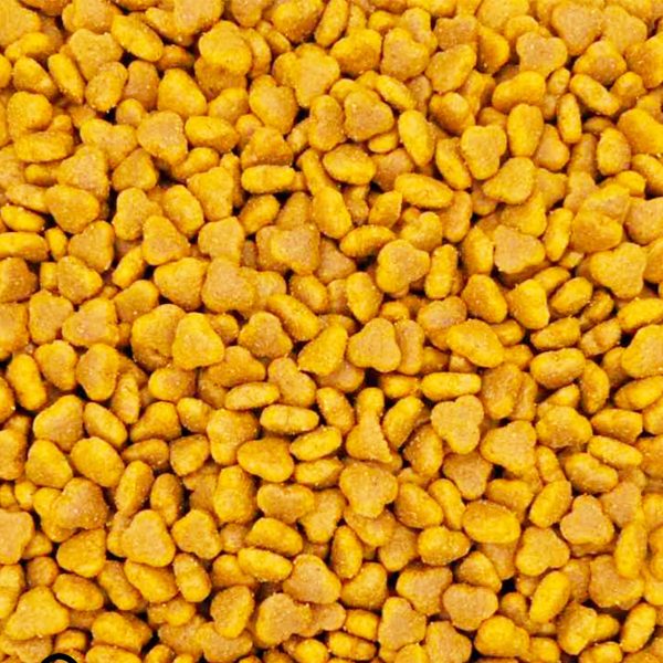 Reflex Plus Cat Adult Urinary Salmon Ξηρά Τροφή Για Γάτες Σολομός (Χύμα - τιμή/kg)