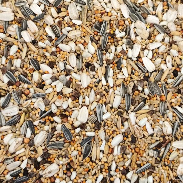Deli Nature No69 (για Μεσαίους Παπαγάλους) (Χύμα - τιμή/kg)