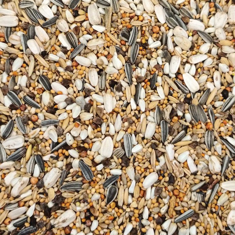 Deli Nature No69 (για Μεσαίους Παπαγάλους) (Χύμα - τιμή/kg)