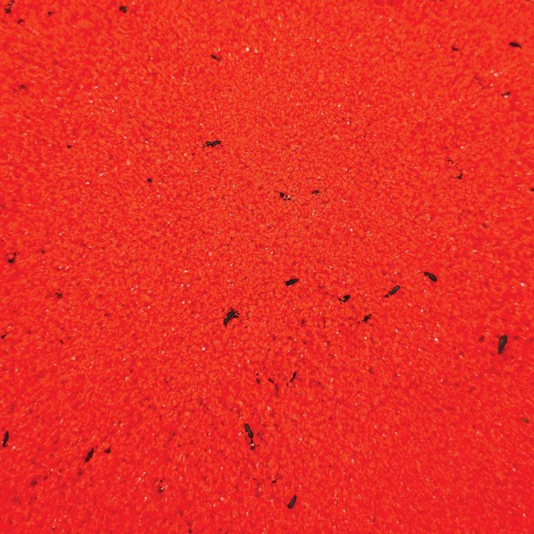 Raff Holland Rosso Eggfood (Κόκκινη Βιταμίνη) (Χύμα - τιμή/kg)