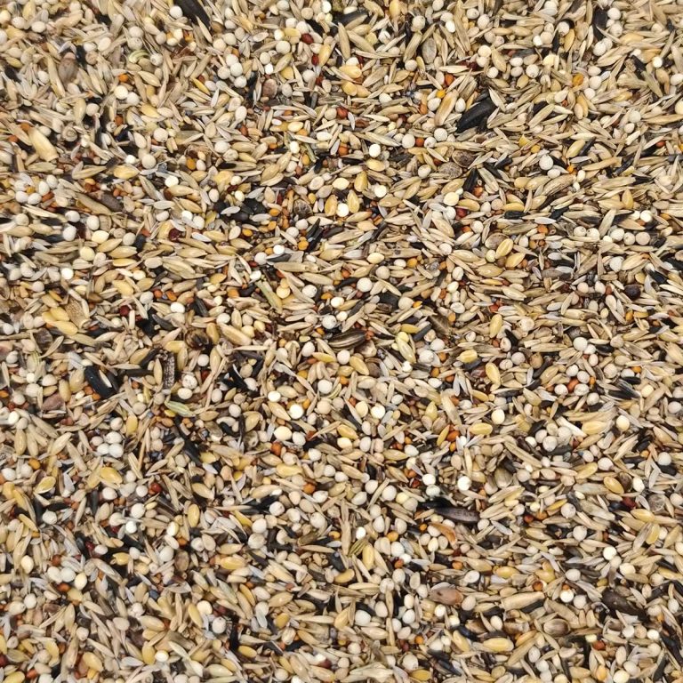 Manitoba Carduelidi (για Αγριόπουλα) (Χύμα - τιμή/kg)