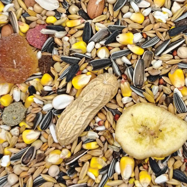 Royal No34 Vogelfutter Parrot Mix (για Μεγάλους Παπαγάλους) (Χύμα - τιμή/kg)