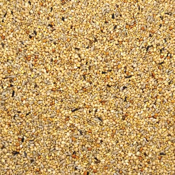Royal No21 Vogelfutter Exotic Mix (για Παραδείσια) (Χύμα - τιμή/kg)
