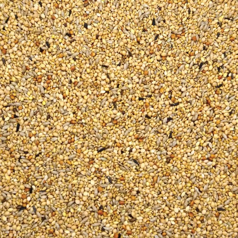 Royal No21 Vogelfutter Exotic Mix (για Παραδείσια) (Χύμα - τιμή/kg)