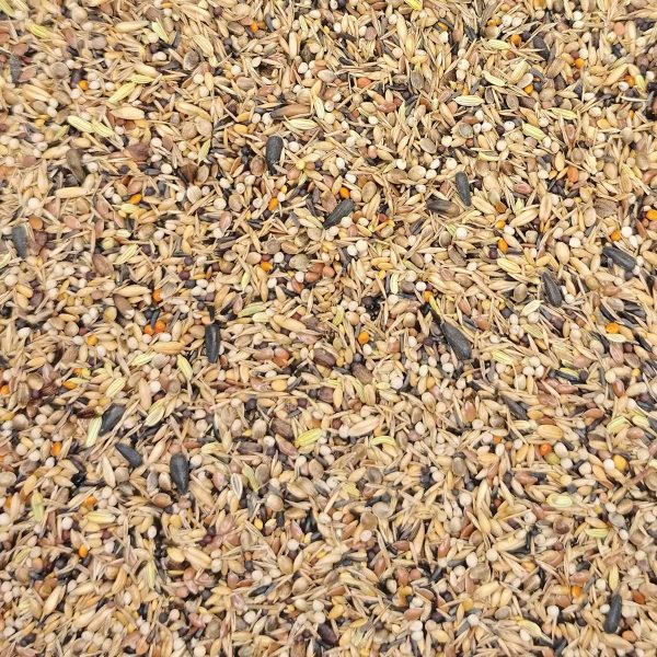 Royal No1 Vogelfutter Goldfinch special (για Αγριόπουλα) (Χύμα - τιμή/kg)