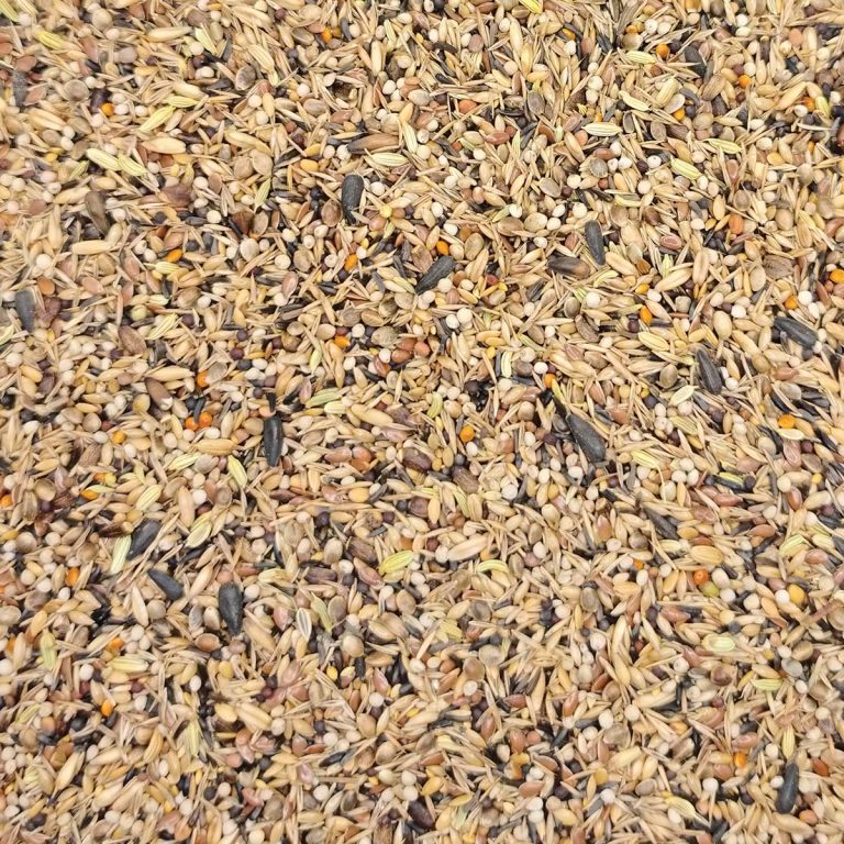 Royal No1 Vogelfutter Goldfinch special (για Αγριόπουλα) (Χύμα - τιμή/kg)