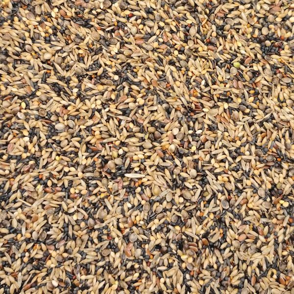 Manitoba Cardellino Fresh (για Αγριόπουλα) (Χύμα - τιμή/kg)