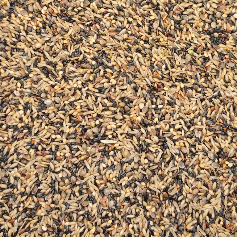 Manitoba Cardellino Fresh (για Αγριόπουλα) (Χύμα - τιμή/kg)