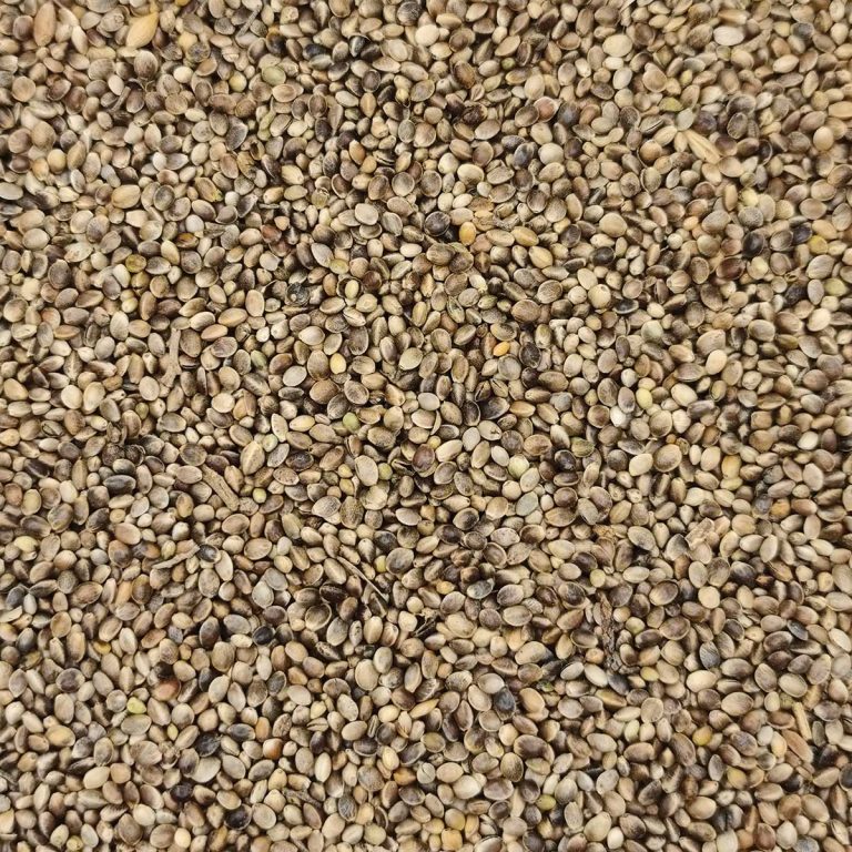 Vogels Hemp Seed (Κανναβούρι) (Χύμα - τιμή/kg)