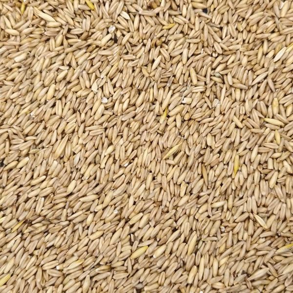Peeled Oats (Αποφλοιωμένη Βρώμη) (Χύμα - τιμή/kg)