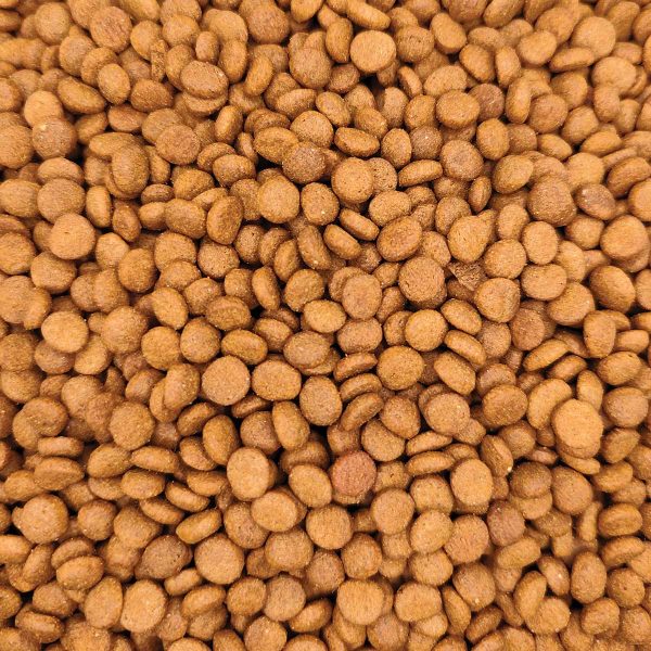 New Food Cat Food with Chicken (Κοτόπουλο) (Χύμα - τιμή/kg)