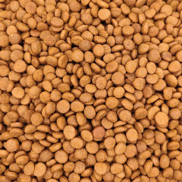 New Food Cat Food with Chicken (Κοτόπουλο) (Χύμα - τιμή/kg)