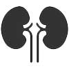 kidney