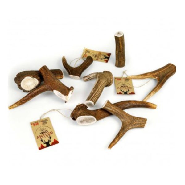 Celebrate Freshness Red Deer Antler Κέρατο Ελαφιού Για Σκύλους XXL 160-210gr 1 τμχ.