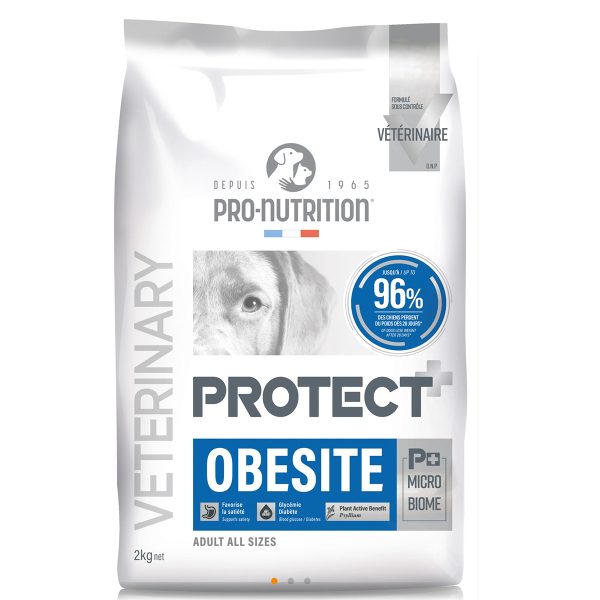 Pro Nutrition Protect Obesity Ξηρά Τροφή Για Υπέρβαρους Σκύλους 2kg