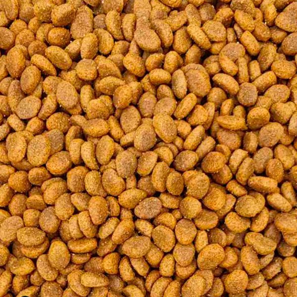 Reflex Plus Dog Adult Mini Small Hypoallergenic Lamb Ξηρά Τροφή Για Σκύλους Αρνί (Χύμα – τιμή/kg)